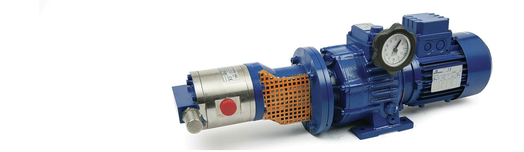 Gear pump MOZER IF